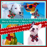 Christmas Bow Tie Dog Collar 2-Pack (Movable Elastic Design)