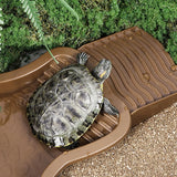 Reptile Bathing Pool with Ramp — Slip-Proof Soaking Tub for Turtles & Bearded Dragons
