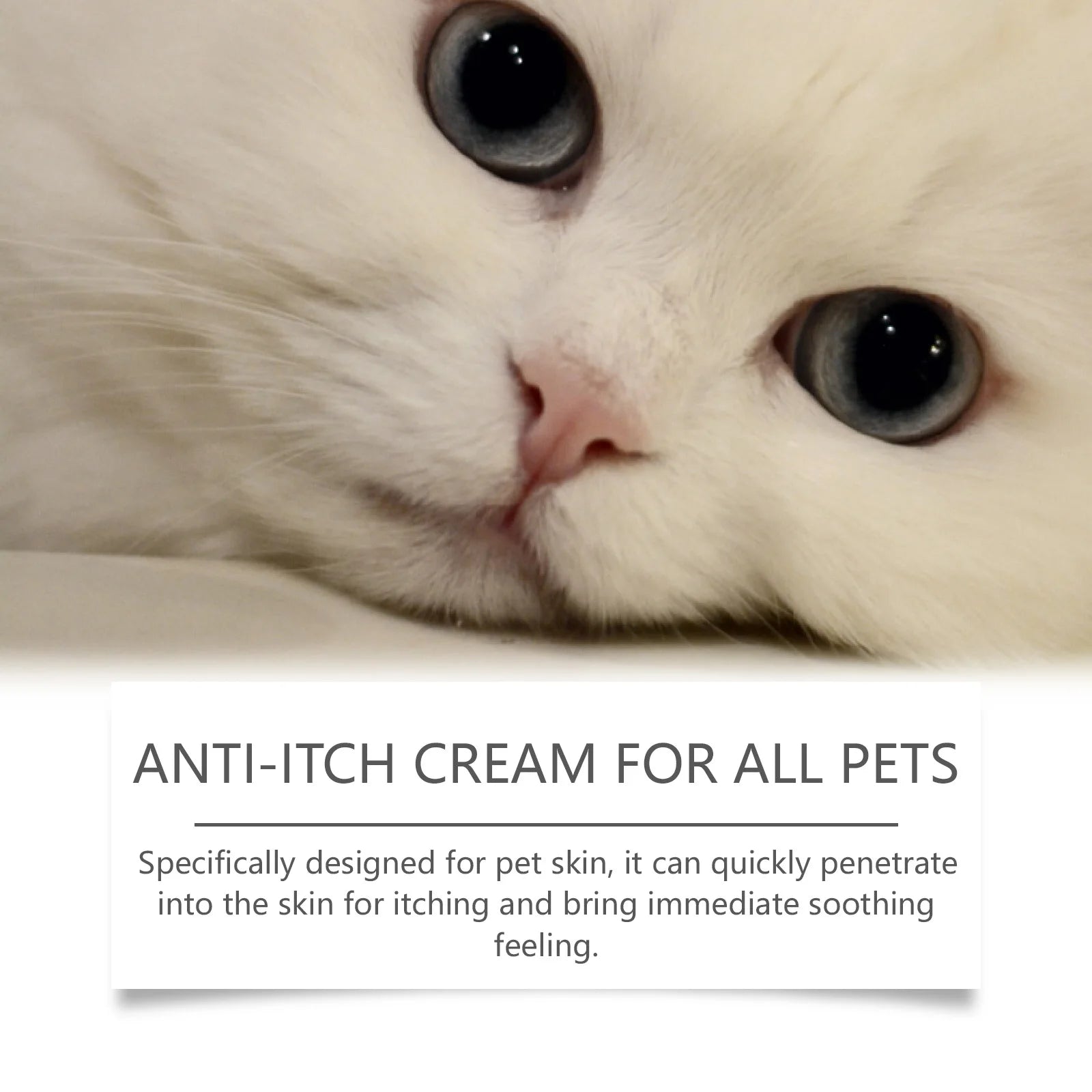 Mild Anti-Itch Pet Skin Essence — Hormone-Free Relief for Dryness & Hair Thinning