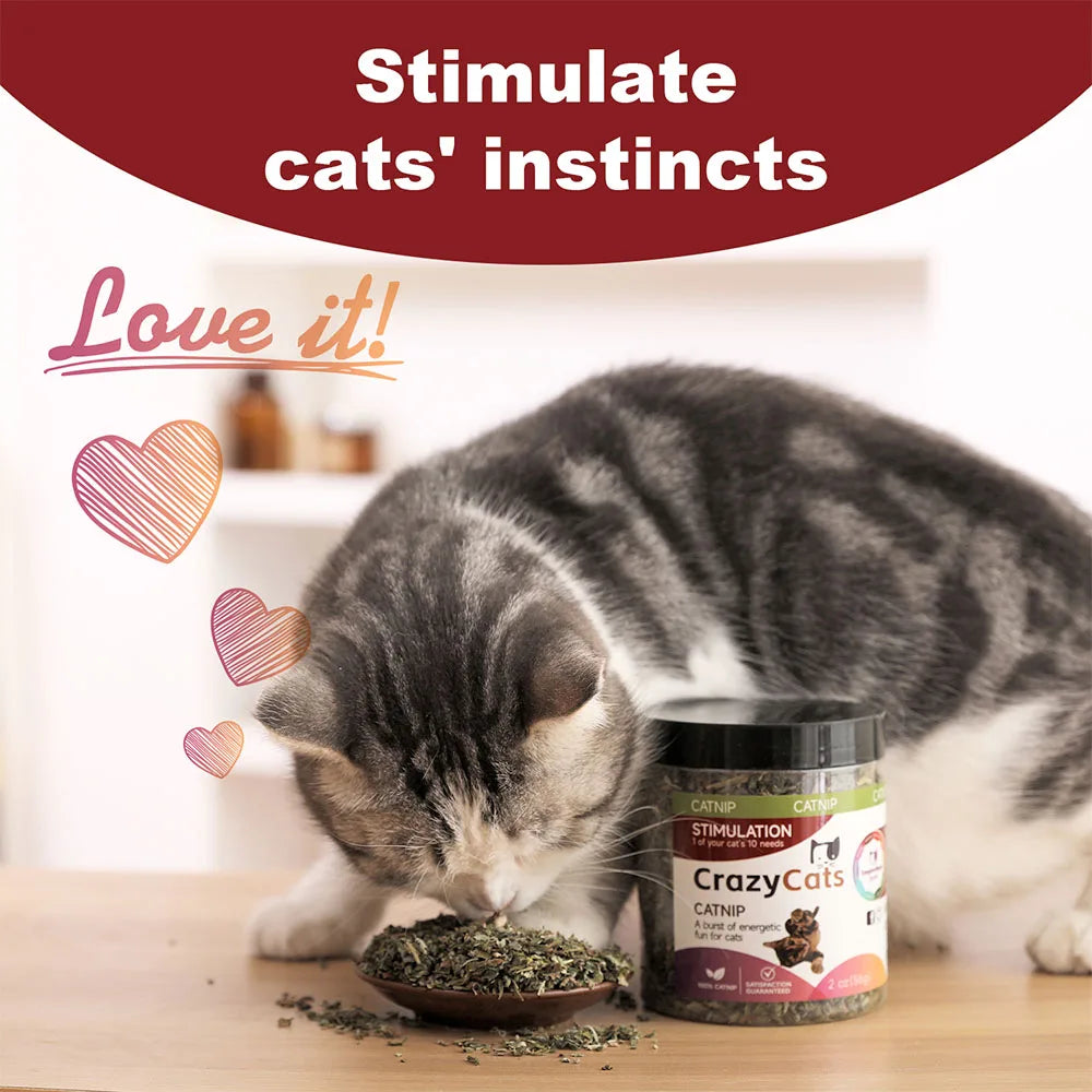 Premium Catnip for Cats (56g Jar)