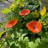 Hummingbird & Butterfly Nectar Feeder — Hanging Drinking Station