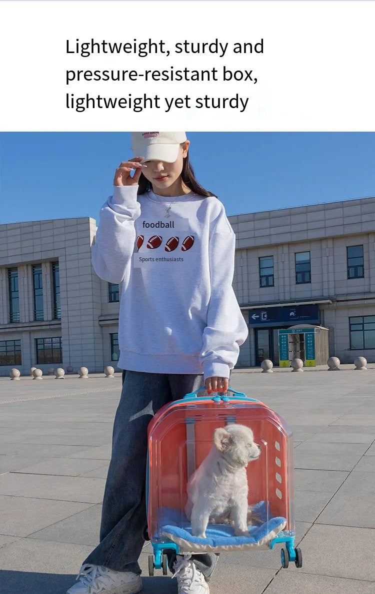 Translucent Portable Large-Capacity Pet Carrier & Aviation Travel Case for Cats