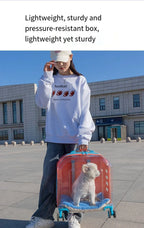 Translucent Portable Large-Capacity Pet Carrier & Aviation Travel Case for Cats