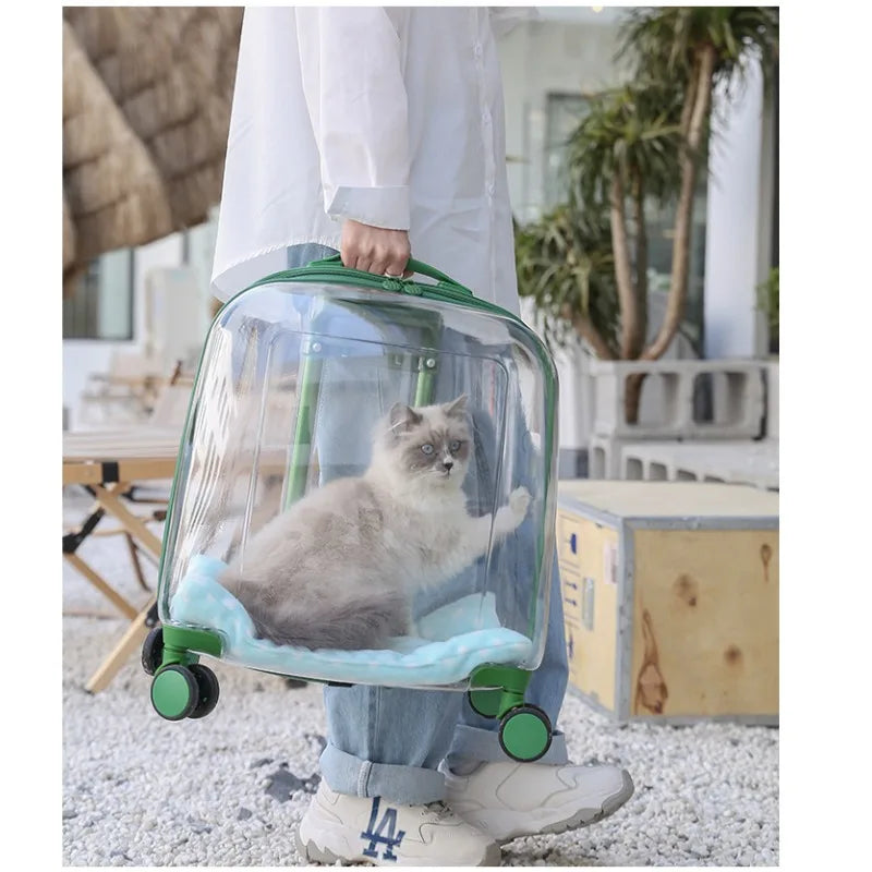 Transparent Capsule Pet Backpack Carrier with Wheels for Cats & Small Dogs