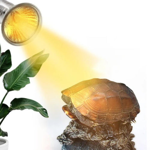 UVA Basking Heat Bulb — E27 Glass Reptile Lamp, 25W–75W