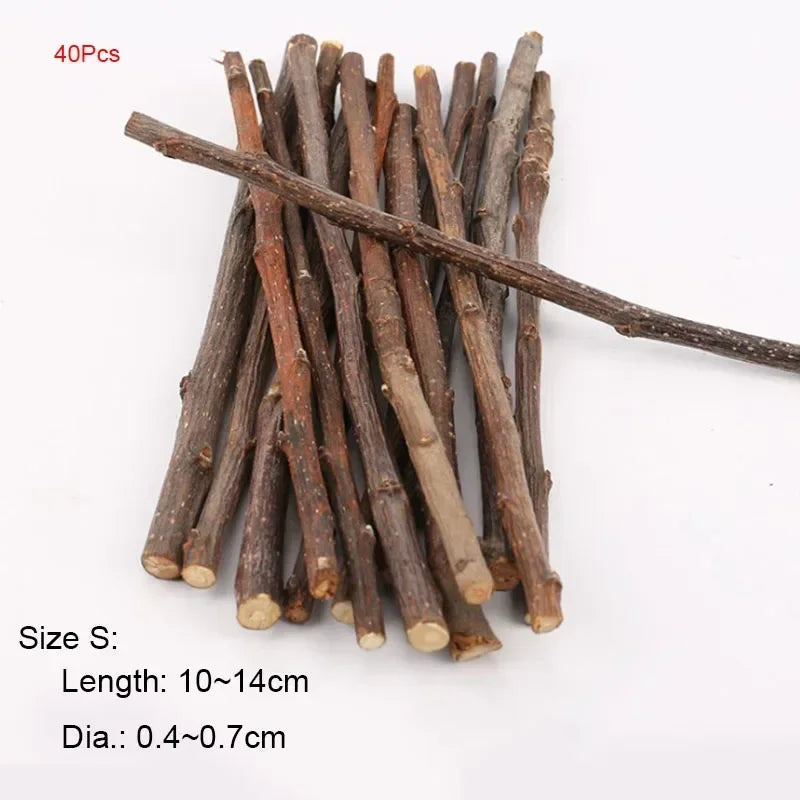 Apple Wood Molar Sticks — Natural Chew Toys for Small Pets