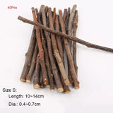 Natural Apple Wood Chew Sticks — Teeth Grinding Sticks for Small Pets