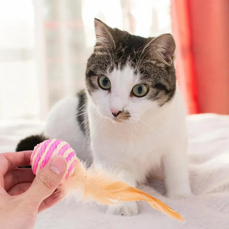 Sisal Feather Cat Ball Toys (Assorted)