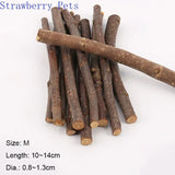 Apple Wood Molar Sticks — Natural Chew Toys for Small Pets