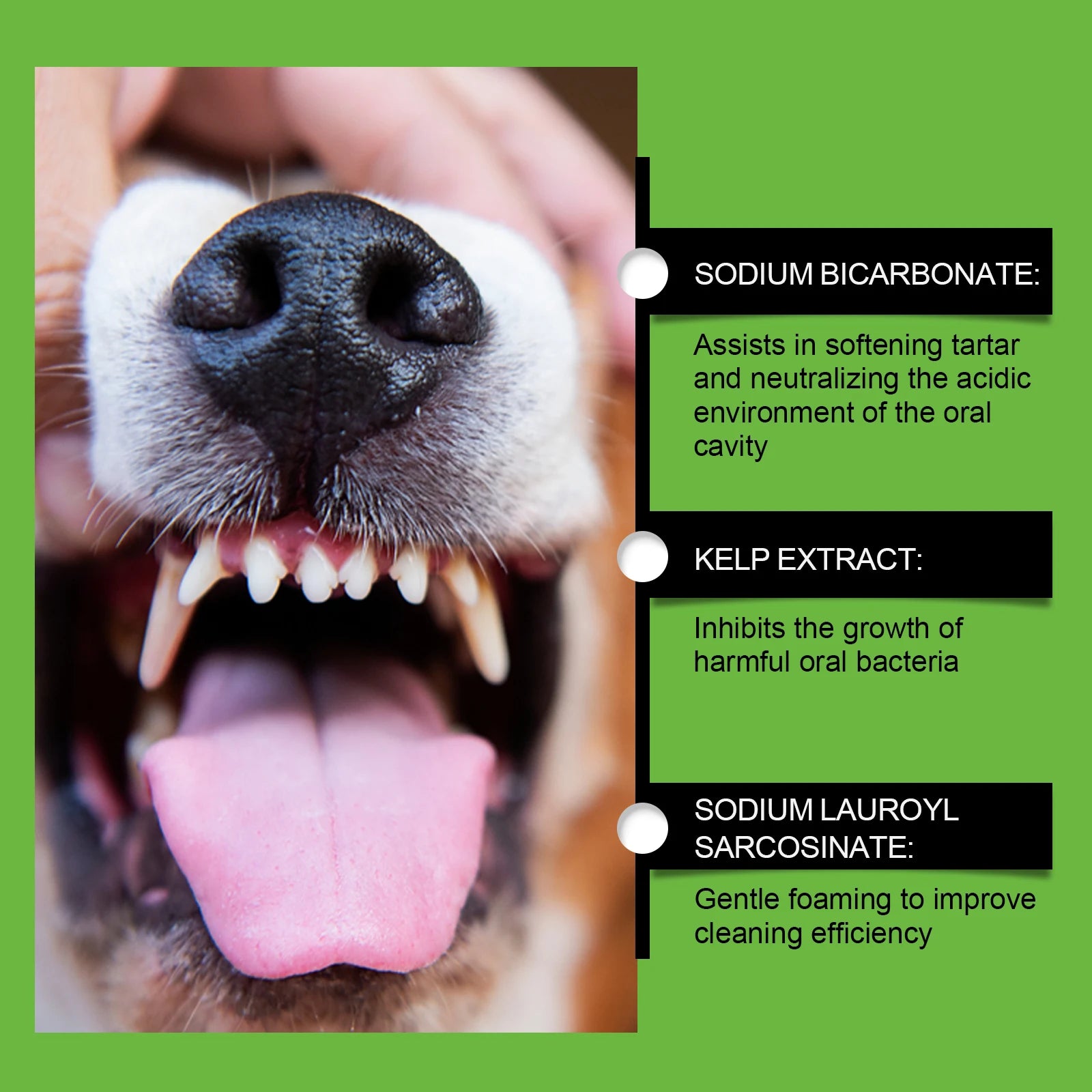 Yegbong Dog Teeth Cleaning Powder — Fresh Breath & Plaque Care
