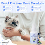 Blueberry Pet Deodorizing Spray — Natural, Long-Lasting Freshness for Dogs & Cats