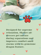 Heartbeat Comfort Puppy Toy