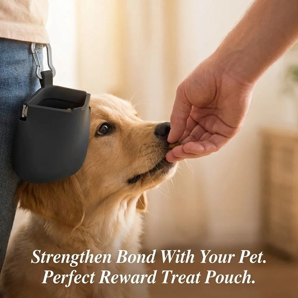 Waterproof Silicone Dog Treat Pouch Large (Oil-Resistant, Stain-Resistant)