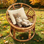 Elevated Round Rattan Cat Bed Chair with Photo Prop Design