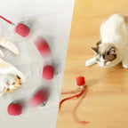 Automatic Rolling Ball Cat Toy with Tail