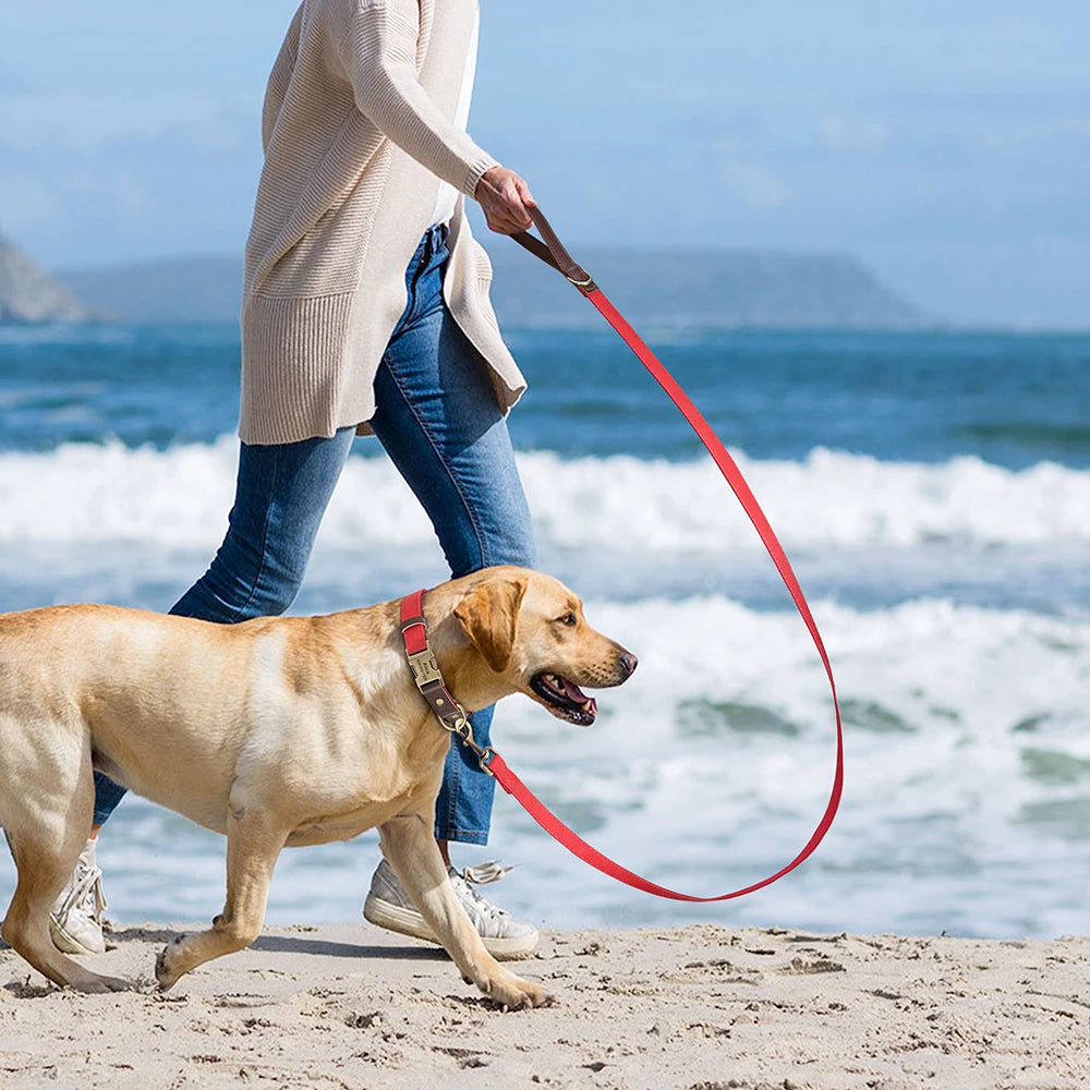 Personalized Dog Collar & Leash Set