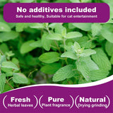 100% Natural Dried Catnip for Cats