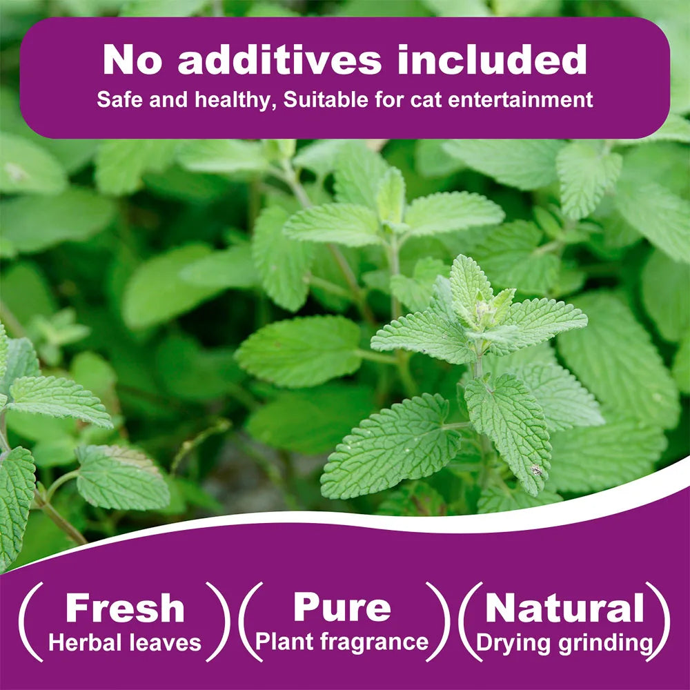 100% Natural Dried Catnip for Cats
