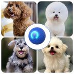 Smart USB Electric Bouncing Ball — Auto-Moving Toy for Cats & Dogs