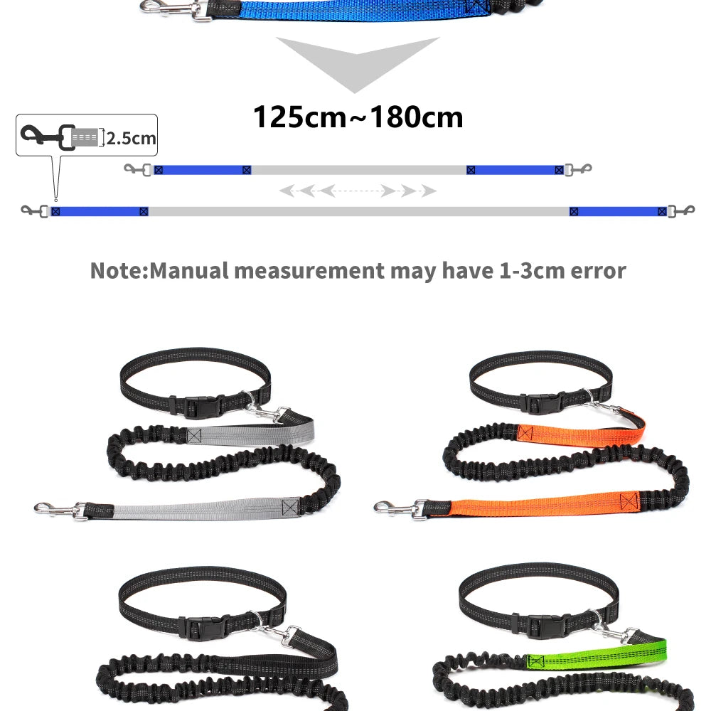 Hands-Free Running Dog Leash with Waist Belt