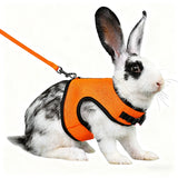 Mesh Breathable Harness & Leash Set — Summer Walking Gear for Rabbits & Ferrets