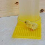 Automatic Chicken Waterer Cup — Drowning-Prevention Hydration Dispenser