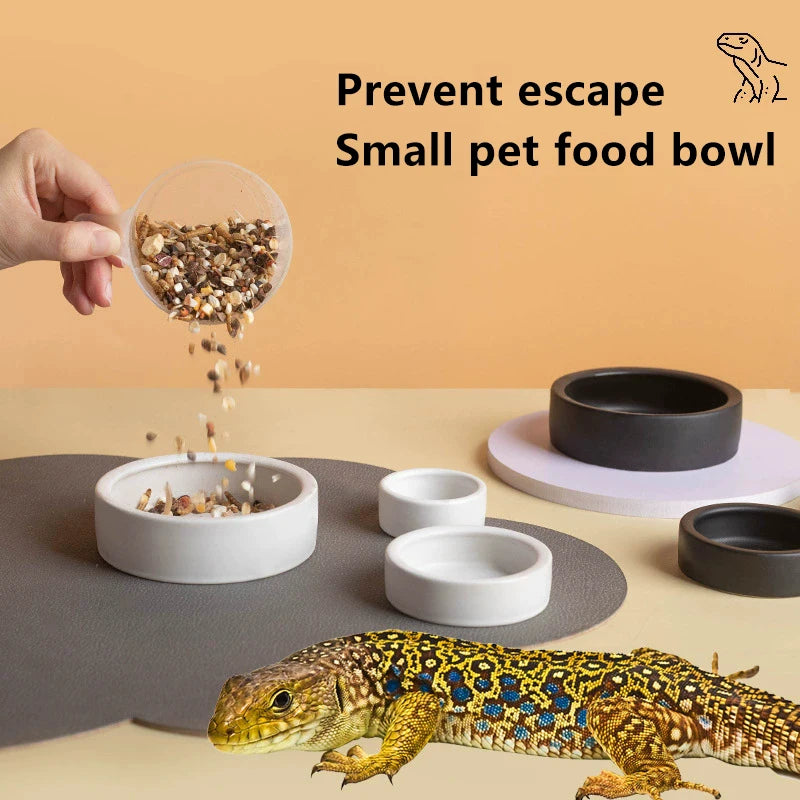 Anti-Escape Ceramic Reptile Feeder Dish — For Geckos, Snakes & Crawling Insects