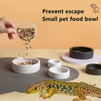 Anti-Escape Ceramic Reptile Feeder Dish — For Geckos, Snakes & Crawling Insects