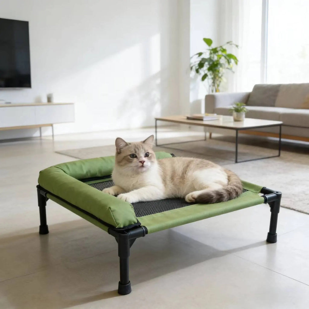 Raised Cooling Pet Cot for Small Dogs, Washable