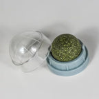 Mint Cat Dental Chew Ball Toy — Teeth Cleaning & Solo Play