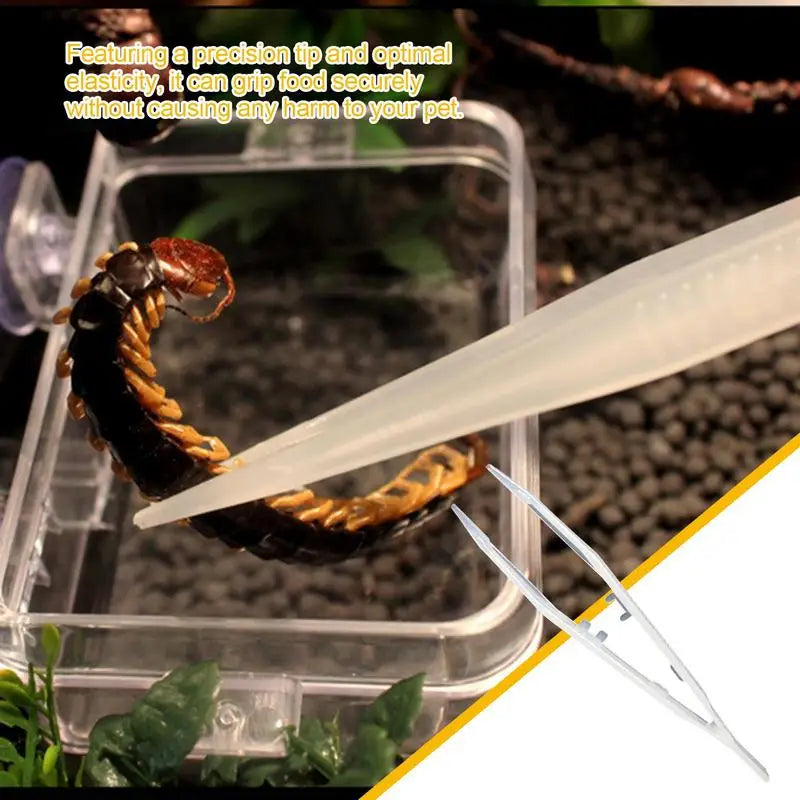 Glow-in-the-Dark Reptile Feeding Tongs — Ergonomic Anti-Slip Tweezers