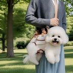 Dog Lift Harness & Carrier Bag (Breathable, Multifunctional, Traction)