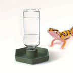 Automatic Feeder & Waterer for Small Reptiles