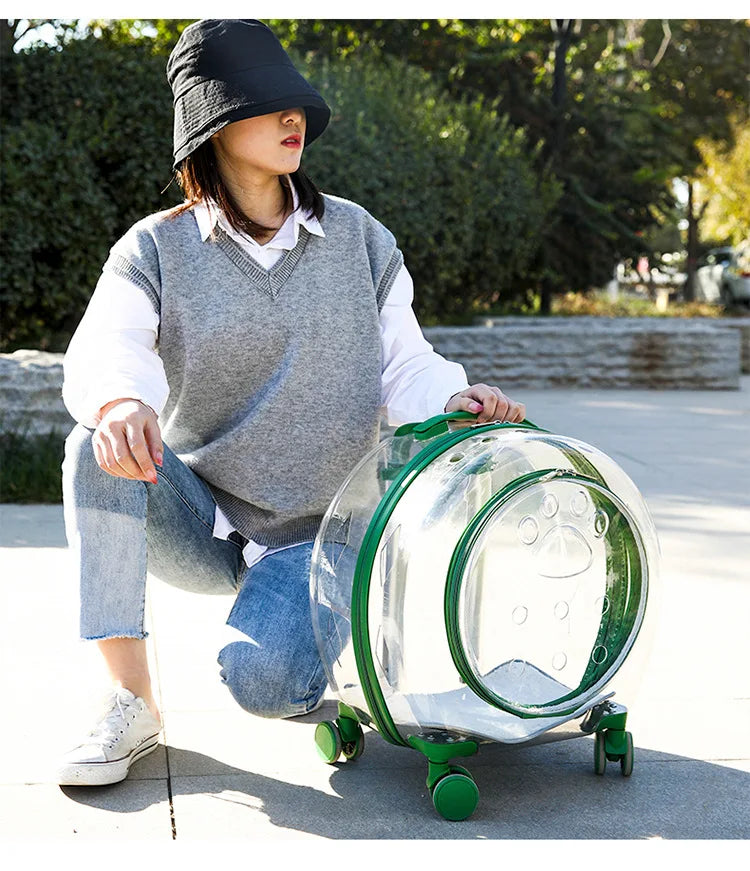 Large-Capacity Transparent Space Capsule Pet Suitcase with Shoulder Straps