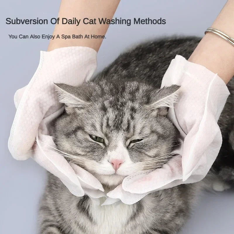 No-Rinse Pet Grooming Gloves — Five-Finger Design for Face, Ears & Paws, 6-Pack