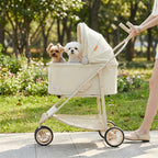 2-in-1 Portable Foldable Pet Stroller with Multi-Function Detachable Bag for Dogs & Cats — Lightweight