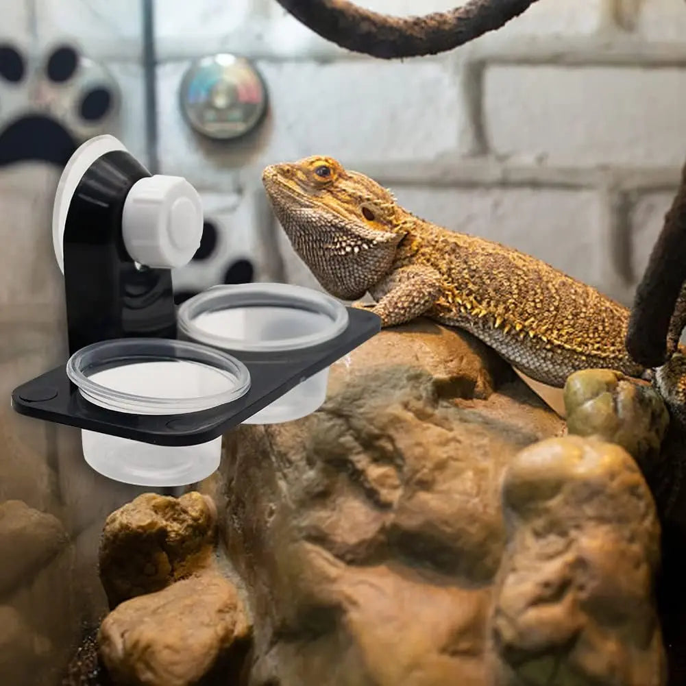 Gecko Feeder Ledge — Detachable Suction Cup Dish for Arboreal Reptiles