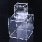 Acrylic Reptile Breeding Box — Ventilated Enclosure for Spiders & Small Reptiles