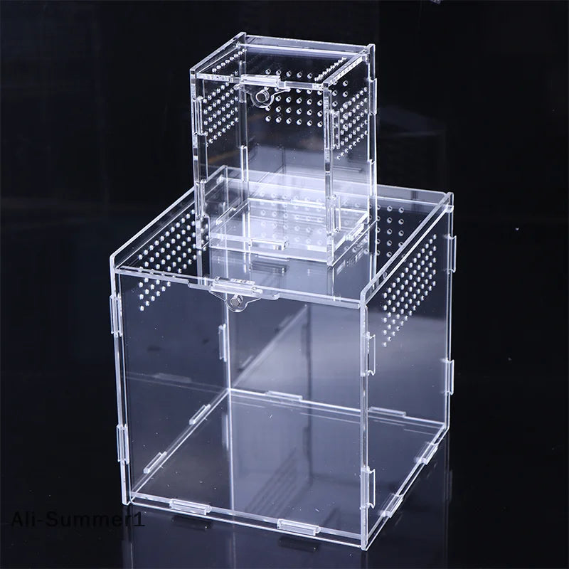 Acrylic Reptile Breeding Box — Ventilated Enclosure for Spiders & Small Reptiles