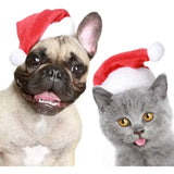 Plush Santa Hat for Dogs (Christmas Costume Accessory)
