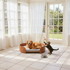 Oval Wooden Pet Sofa Bed with Removable Cover, All-Season