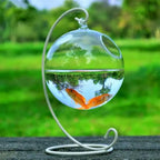 Hanging Glass Fish Bowl Vase (Round & Rectangle, Wall-Mounted)