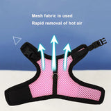 Vest-Style Carrier Bag with Harness & Leash Set for Rabbits