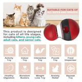 Cat Training Leaky Ball with Chirping Bird — Interactive Slow Feeder Toy