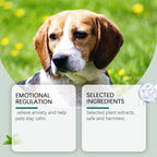 Pet Anxiety-Relief Soothing Drops — Easy-to-Feed Calming Supplement