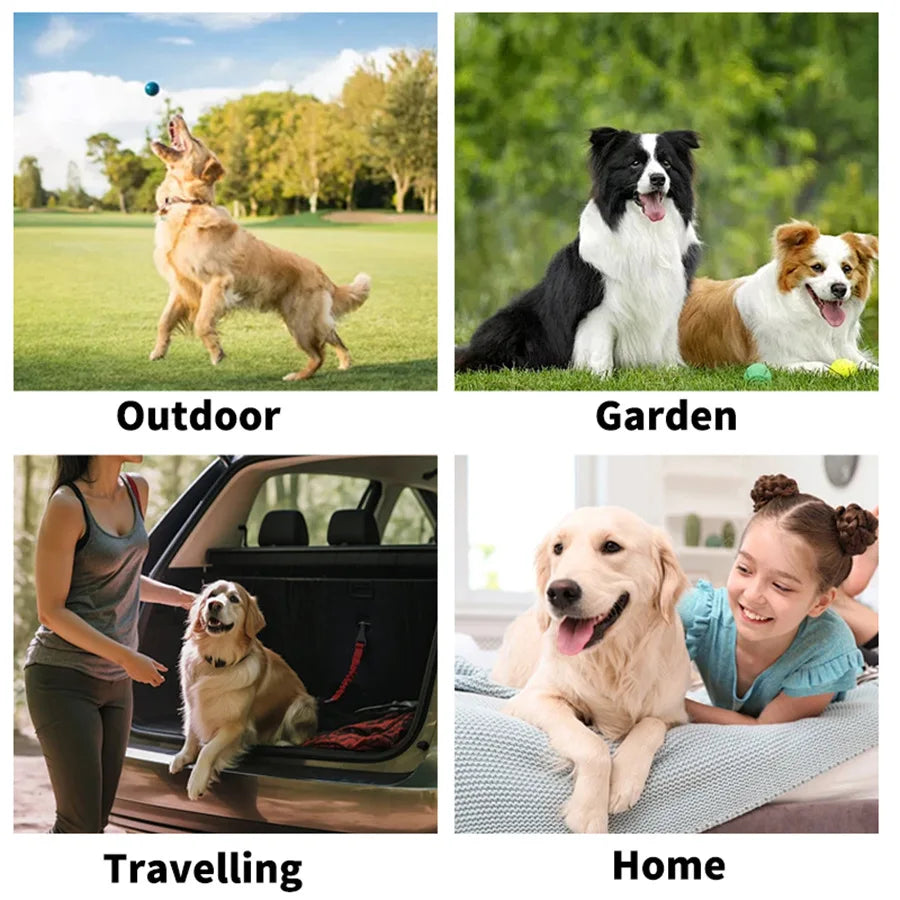 Waterless Pet Cleaning Gloves — Disposable Deodorizing Wipes for Dogs & Cats