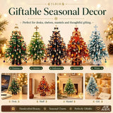 DIY Beaded Christmas Tree Kit (Mini Crystal Desktop Decor)