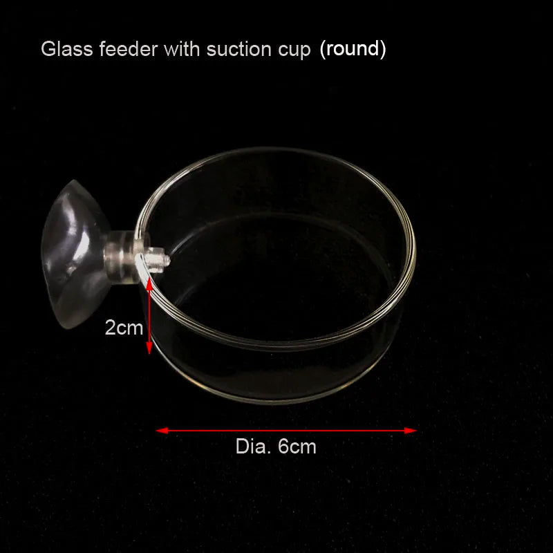 Glass Aquarium Shrimp Feeding Ring & Feeder Dish (Transparent, Floating, Bottom)