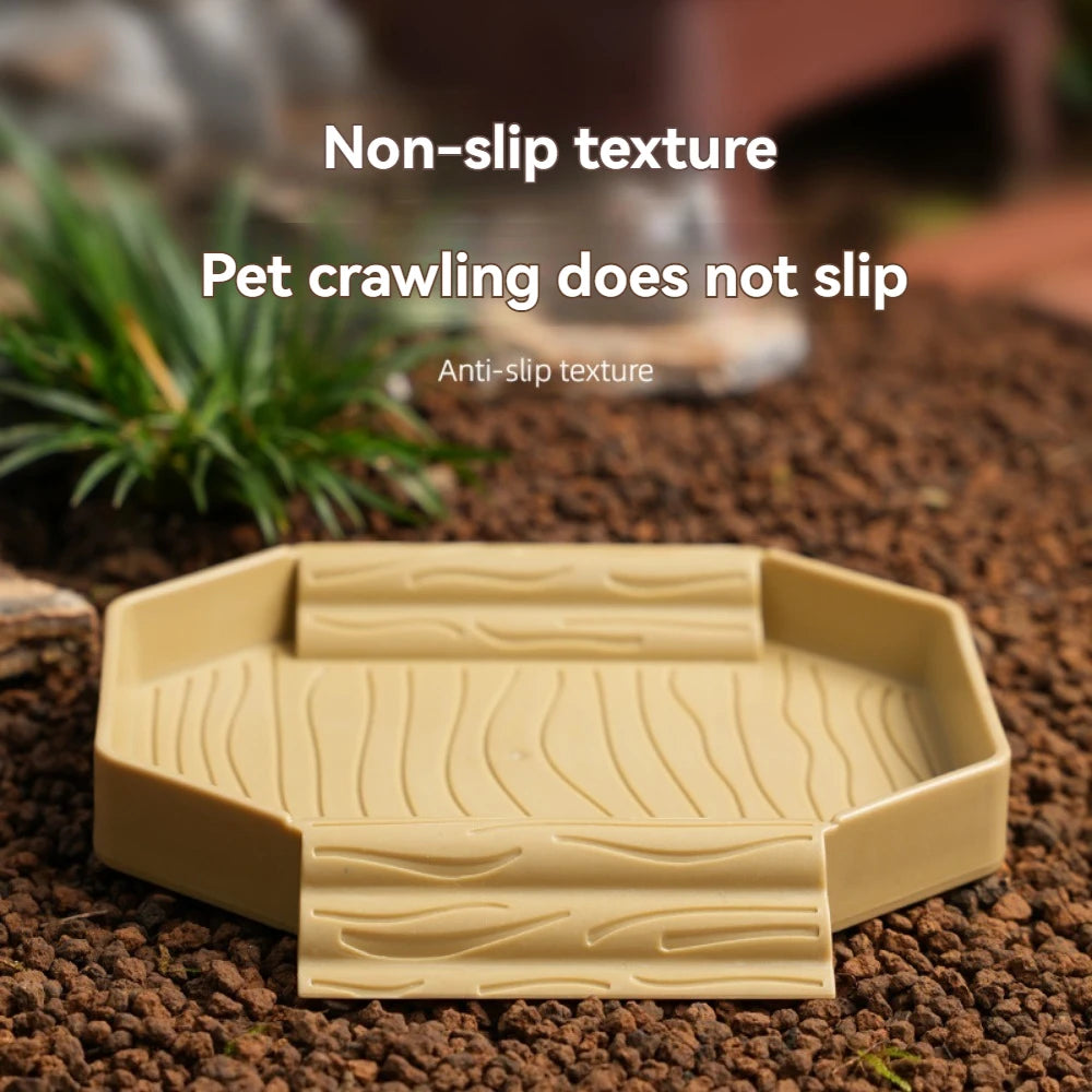 Dual-Use Turtle Bath Basin — Half-Water Habitat & Feeding Box