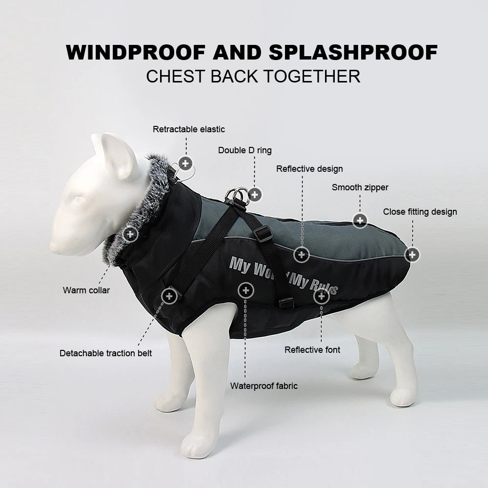 Waterproof Dog Jacket with Built-In Harness